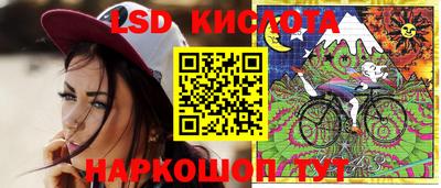 PSILOCYBIN Беслан
