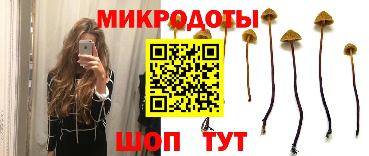 Изобильный  Псилоцибиновые грибы мицелий  Галлюциногенные грибы Cubensis  Вход с VPN 